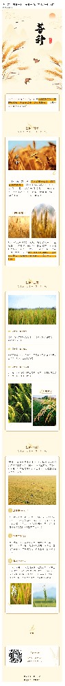 芒种|杏黄一时，麦黄一晌，芒种是一种记忆~