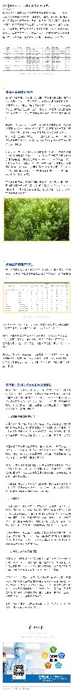 思考|微藻蛋白是否能超越传统蛋白质？