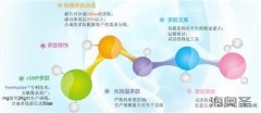 多肽被应用到各项重大疾病预防及治疗